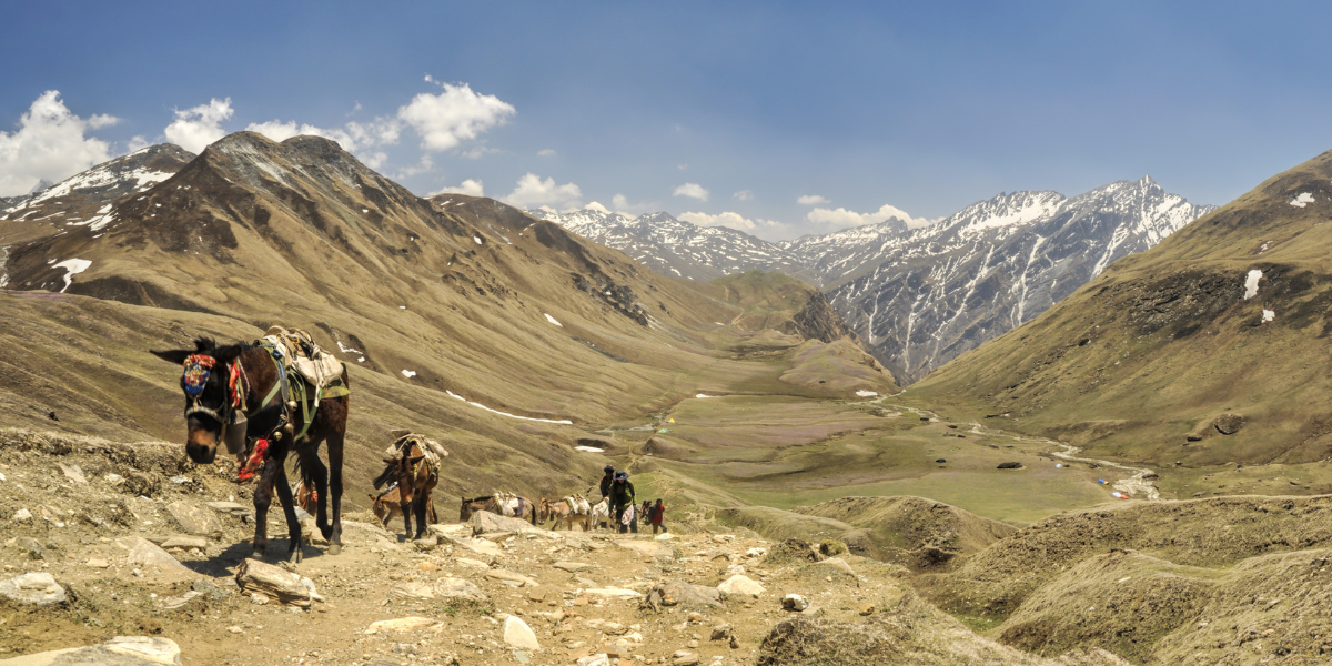 Trekking in Dolpo - Dolpo's Mystical Trails